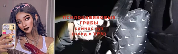 apvp Гусь-Хрустальный