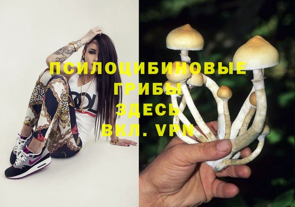 стаф Гусиноозёрск