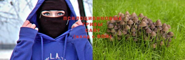 кокаин VHQ Гусев